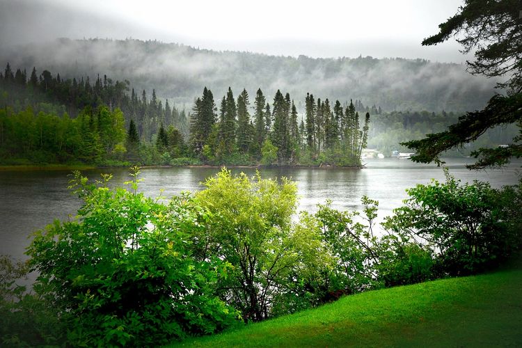 Landschaft mit Flussdelta
