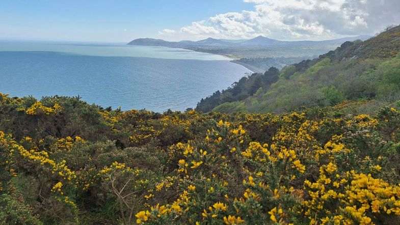 Ausblick auf die Landschaft Howths während der Studienreise der wAL Englisch