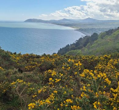 Ausblick auf Howth Ausblick auf die Landschaft Howths während der Studienreise der wAL Englisch